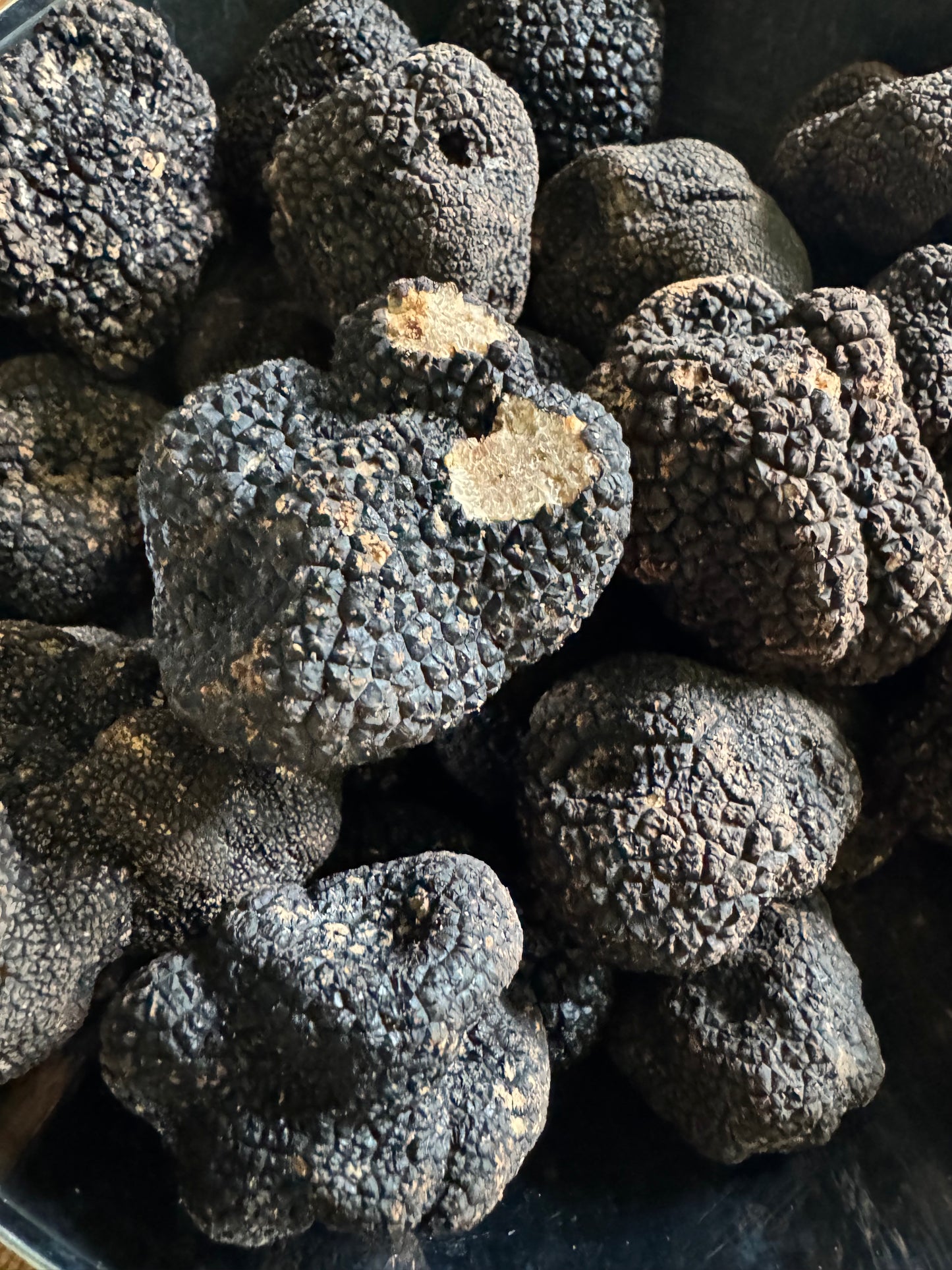 6 / Truffe d'été, tuber aestivum provenance Suisse ou Italie selon disponibilité qualité extra
