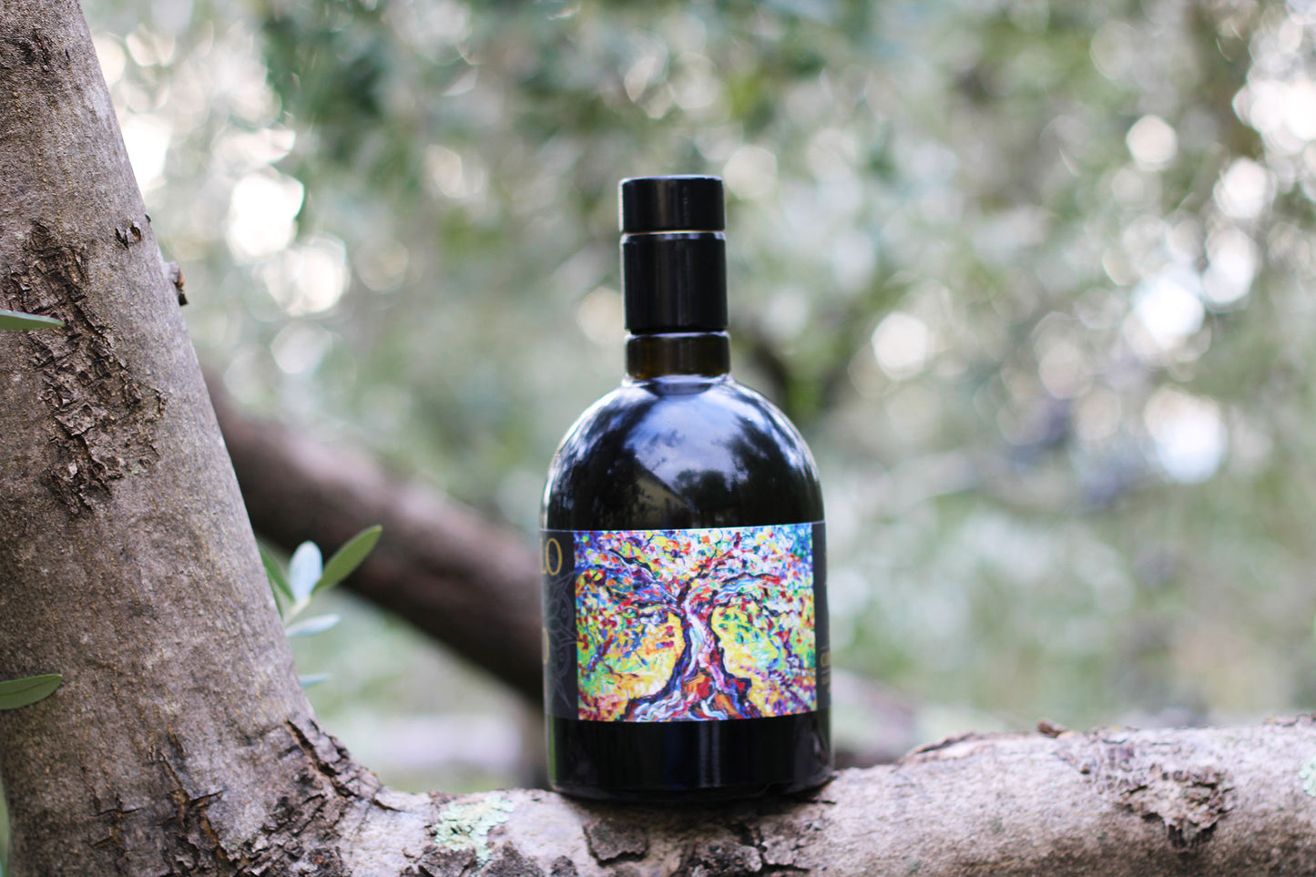 Huile d'olive bio vierge extra Italienne pressée à froid. Issue de l'habile mélange de variétés endémiques de Toscane (BTLE 0,5LT)