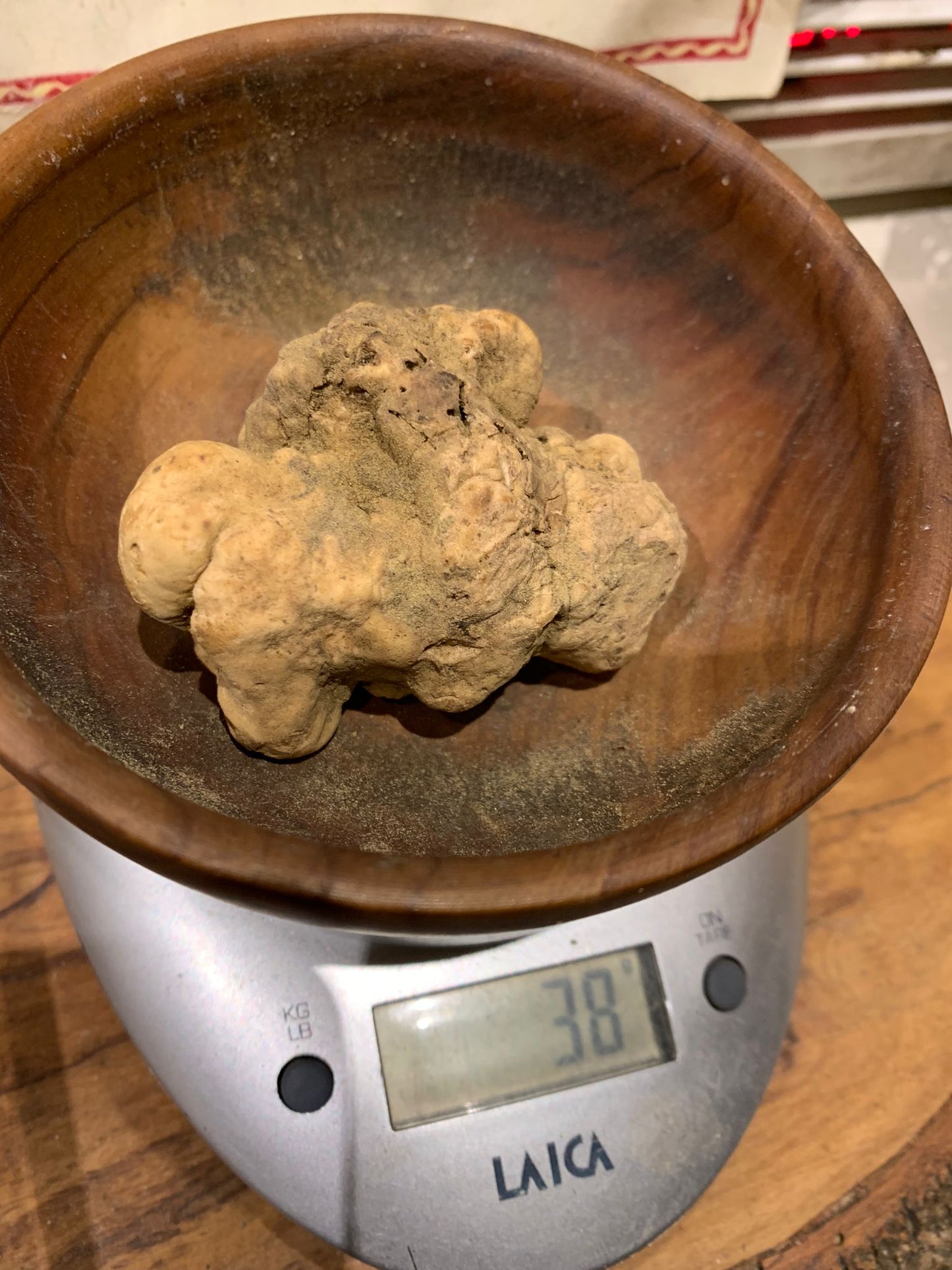 2 / Truffe Blanche dite d’Alba, provenance Italie, Tuber magnatum Pico