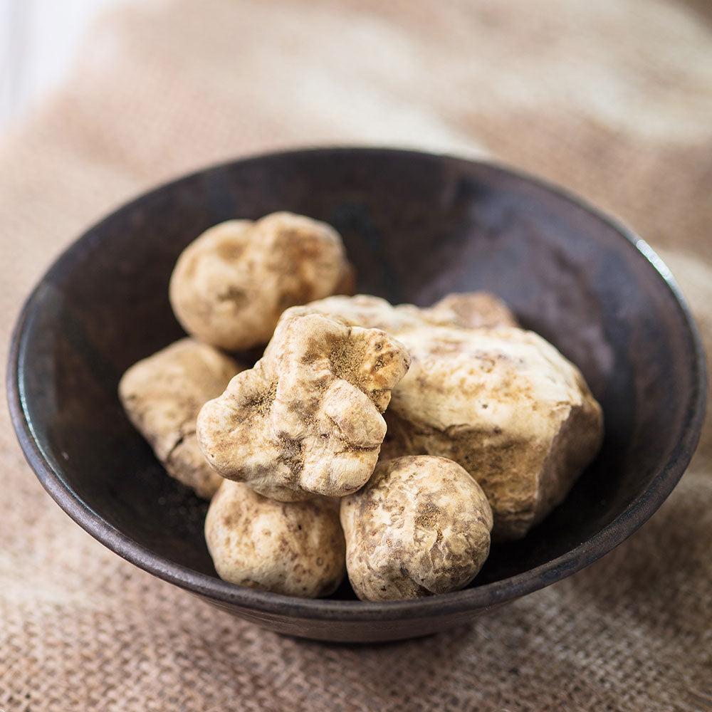 2 / Truffe Blanche dite d’Alba, provenance Italie, Tuber magnatum Pico