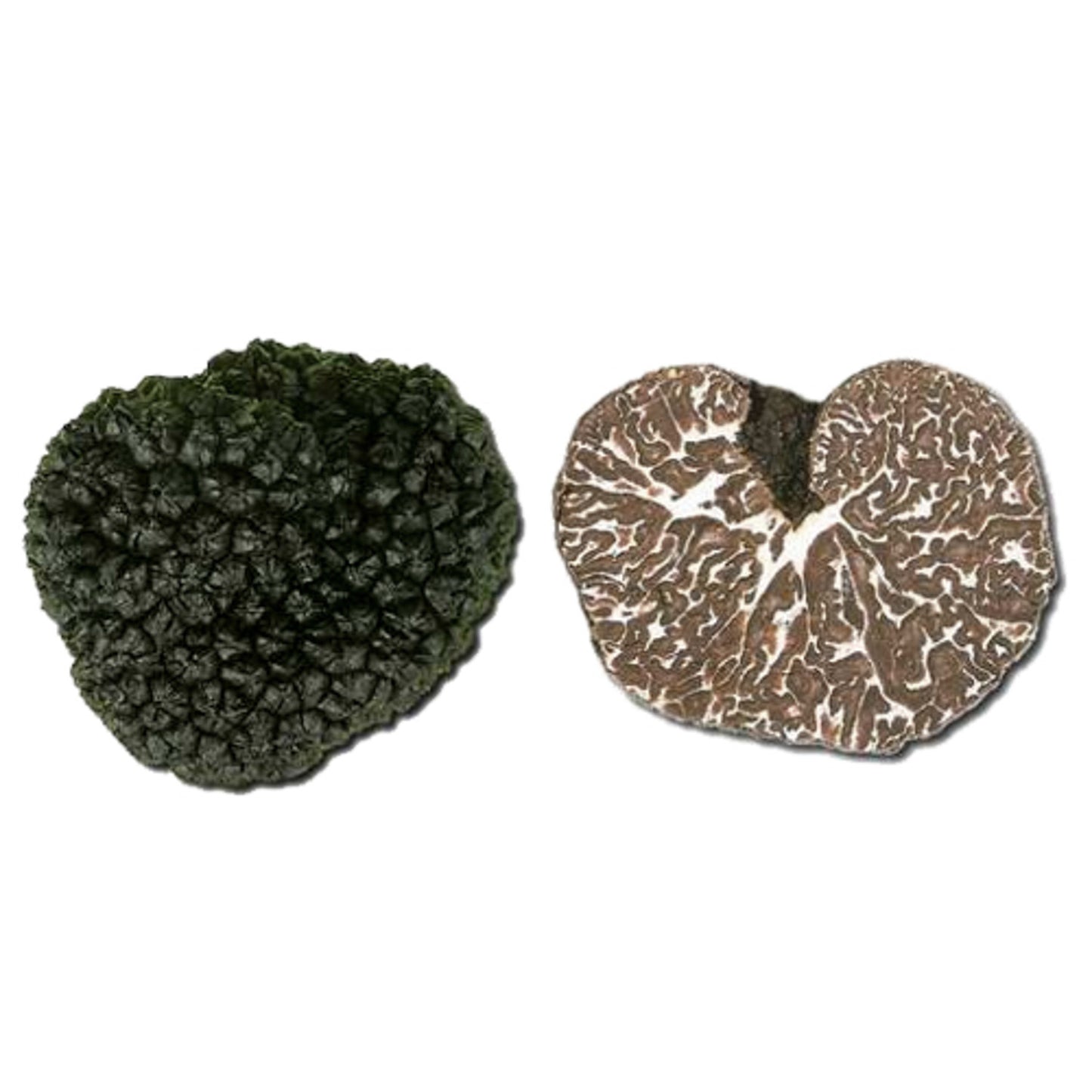 Teertrüffel/ Lorrainetrüffel aus der Schweiz / Tuber mesentericum 50g
