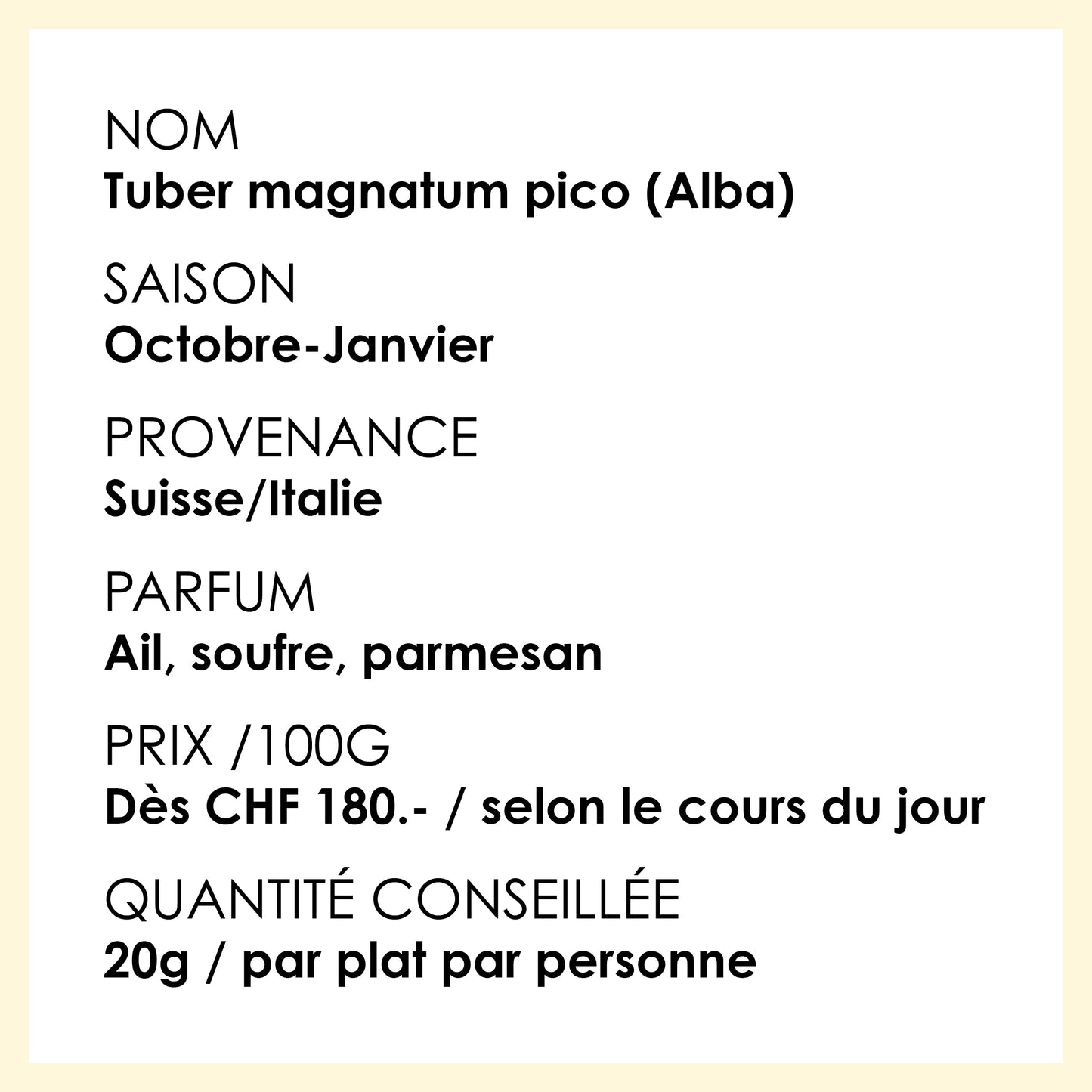 2 / Truffe Blanche dite d’Alba, provenance Italie, Tuber magnatum Pico