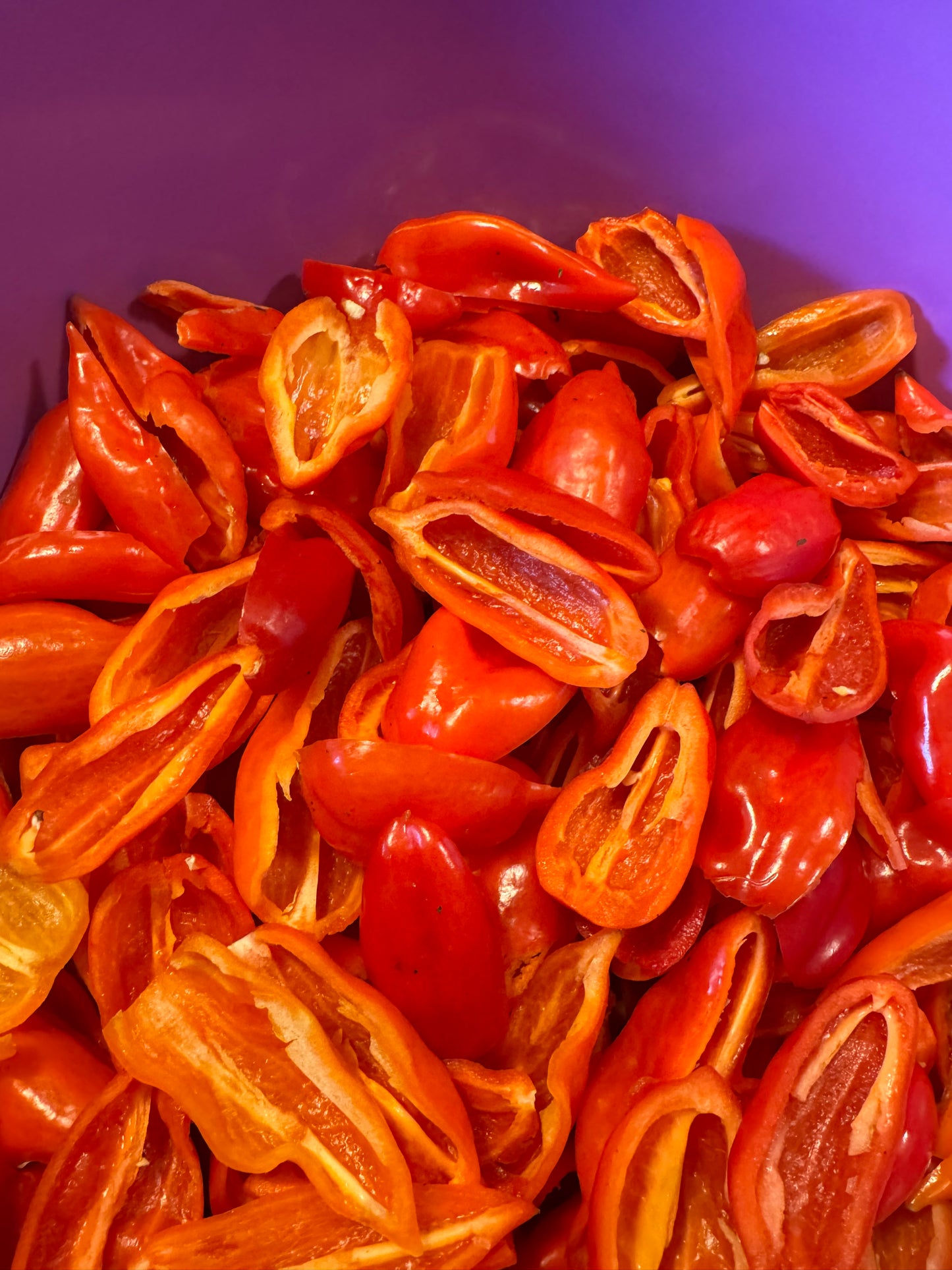 8 / SPICE*UP !  Condiment d'exception relevé artisanal