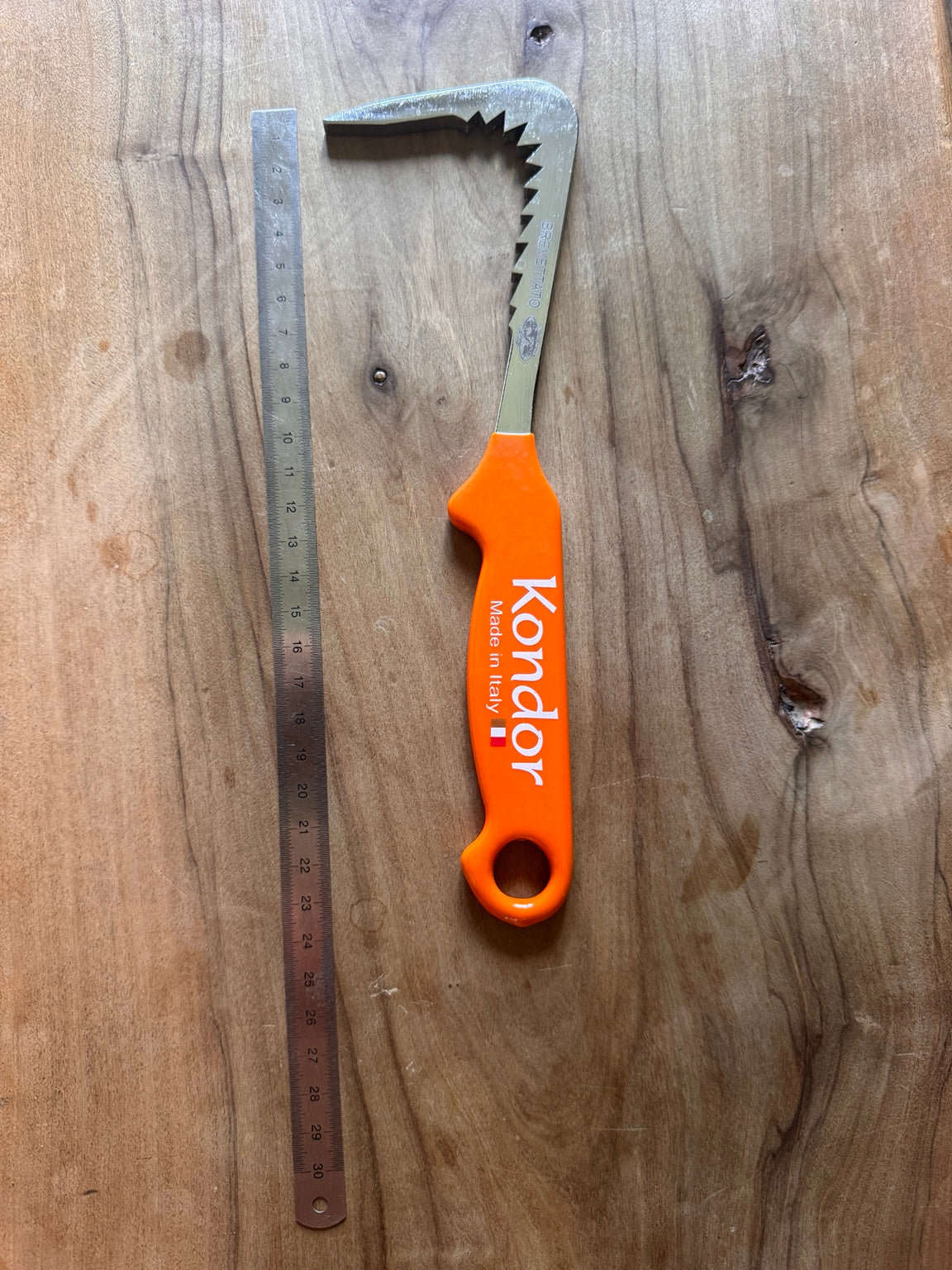 Grande Kondor orange à côté d’une règle : longueur totale approximative de 24 cm.