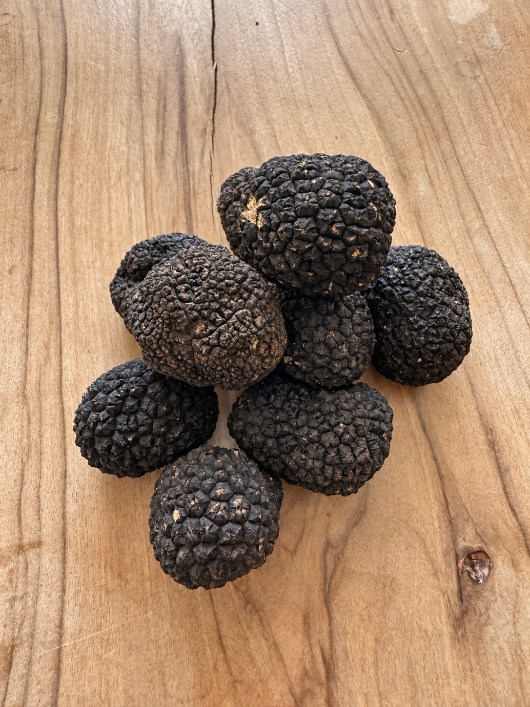 Tuber uncinatum — Perles : petites truffes de Bourgogne sur bois naturel