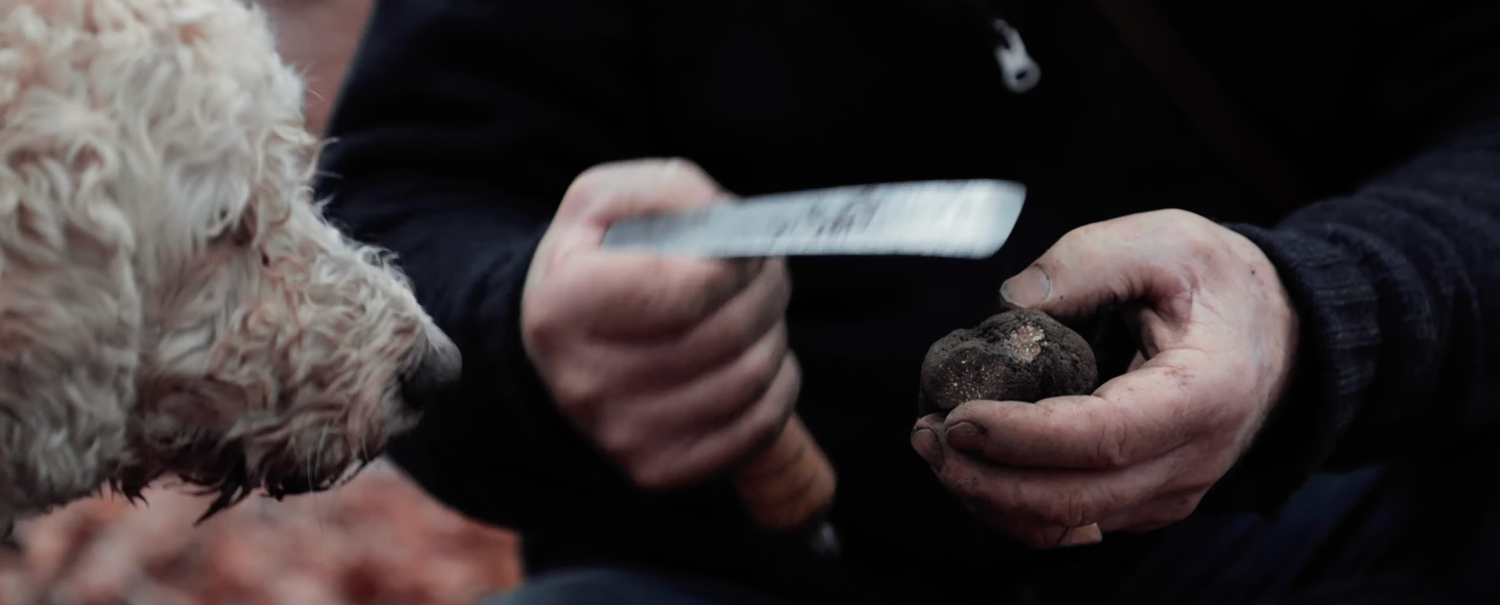 The bonvillar truffle with Frank Siffert