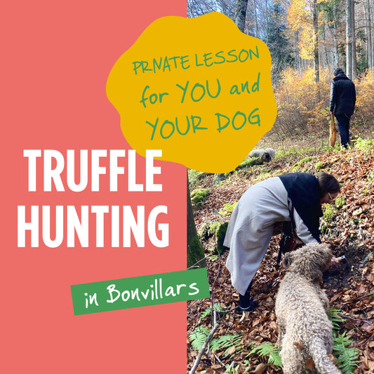 3 / Formation privée de "Truffle Hunter" pour votre chien et vous !