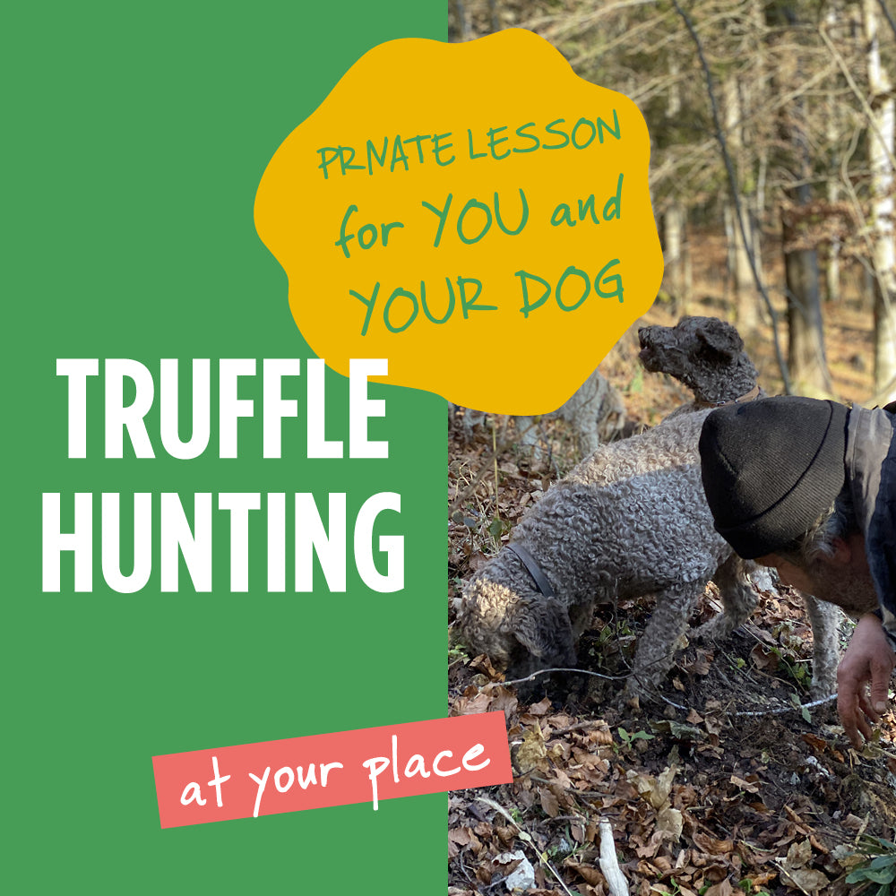 3 / Formation privée de "Truffle Hunter" pour votre chien et vous !