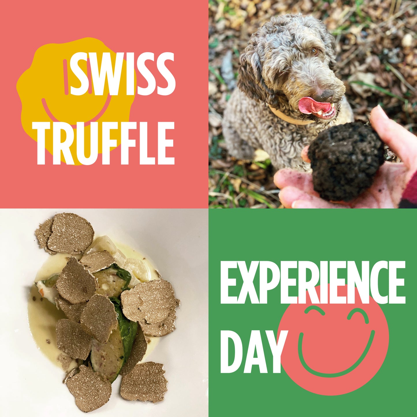 2 / Swiss Truffle Experience Day