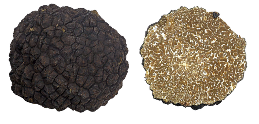 1/ Truffes fraîches, Tuber Uncinatum dîtes truffe de Bourgogne ou d’automnes
