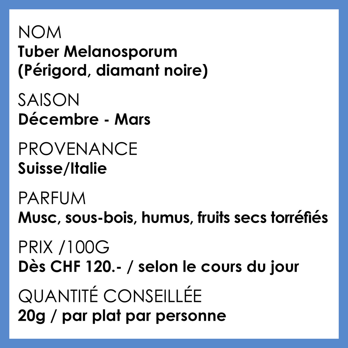 Truffe noire fraîche Tuber melanosporum sélectionnée à maturité.