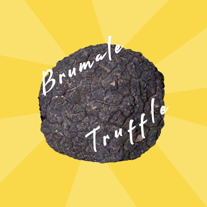 Truffe musquée — Tuber brumale, provenance Suisse
