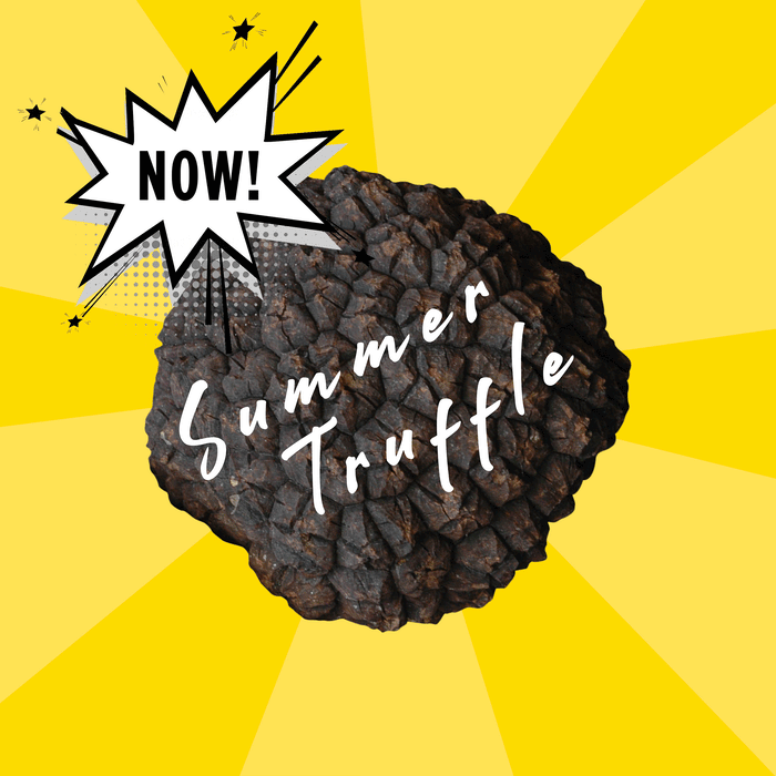 Truffe d’été — Tuber aestivum, qualité extra, provenance Suisse ou Italie selon disponibilité