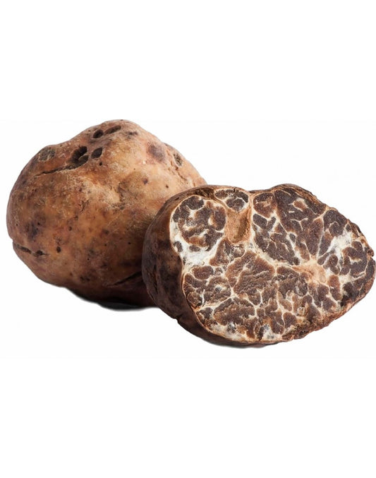 50GR Tuber Borchii dite "Bianchetto" ou "Marzuolo"